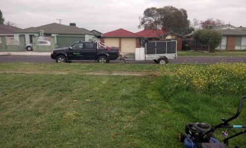 Quality garden and landscaping project by Hesko